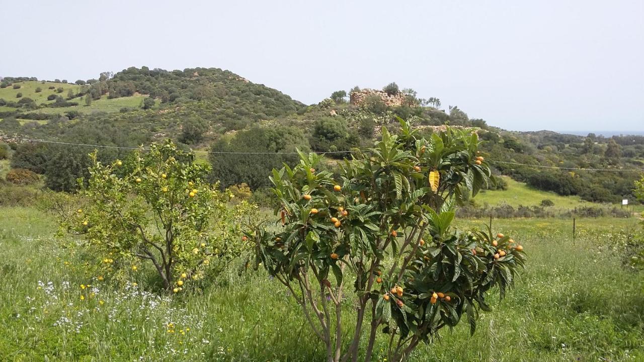 La Casetta Rosa Tertenìa Dış mekan fotoğraf