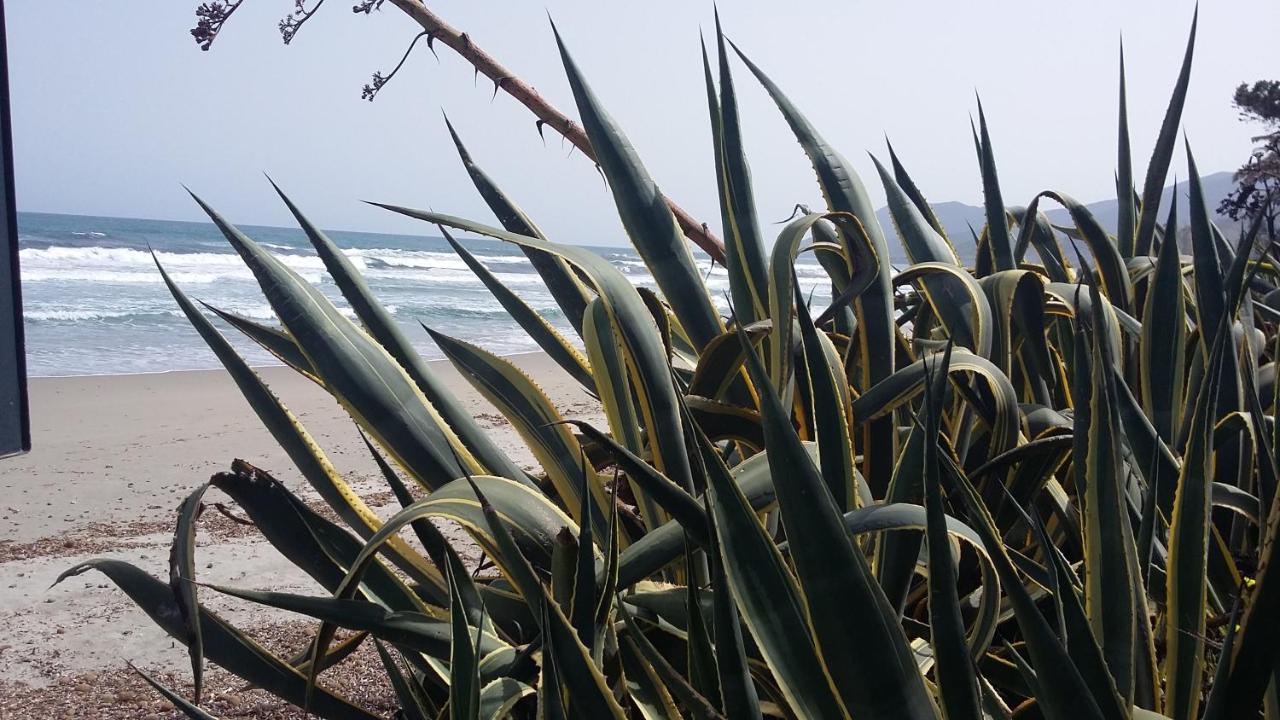La Casetta Rosa Tertenìa Dış mekan fotoğraf