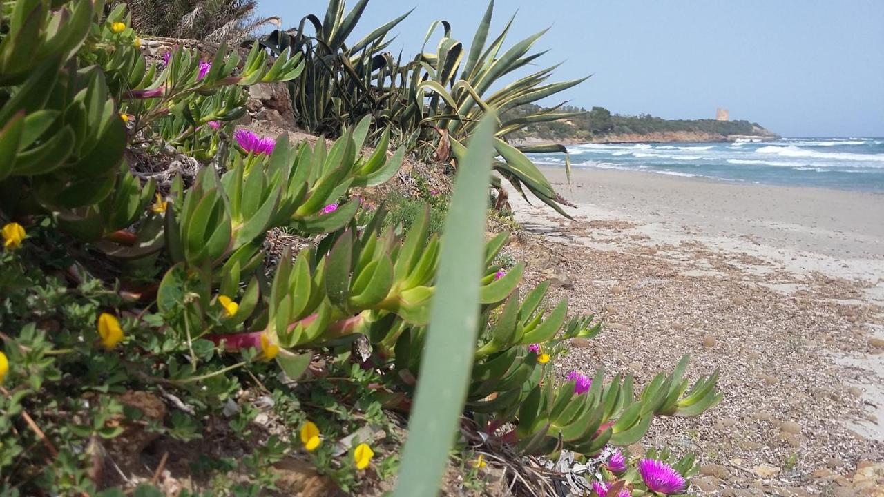 La Casetta Rosa Tertenìa Dış mekan fotoğraf