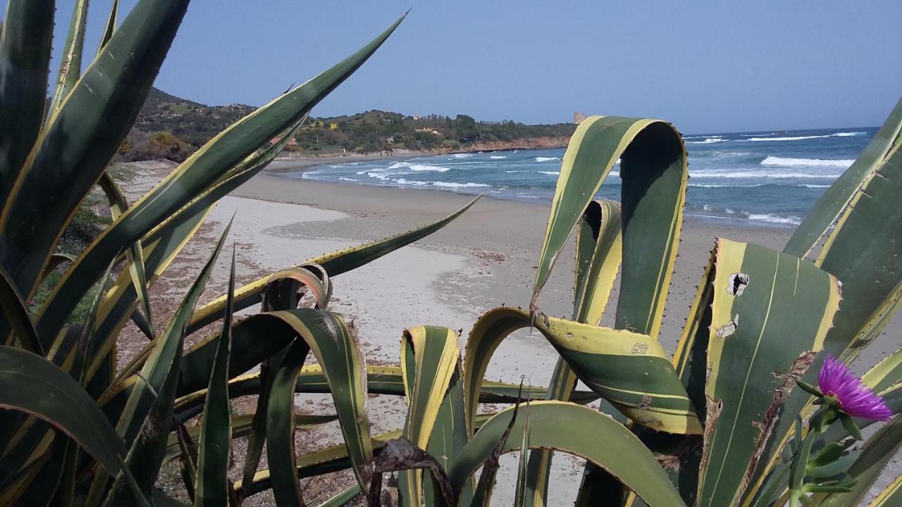 La Casetta Rosa Tertenìa Dış mekan fotoğraf